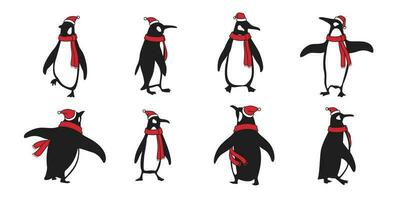 penguin vector Christmas Santa Claus Hat Xmas icon logo cartoon character bear polar bear illustration