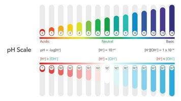 pH scale scientific vector illustration infographic