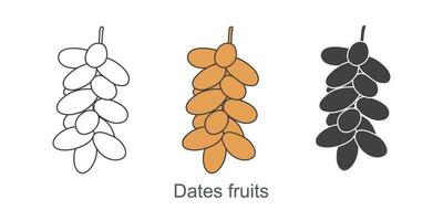 fechas frutas conjunto vector ilustración aislado.