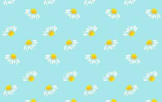 Chamomile pattern on a blue background, brush drawing vector
