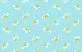 Chamomile pattern on a blue background, brush drawing vector