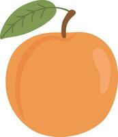 peach fruit illustration vector