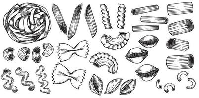 vector drawing in sketch style. vintage set of types of pasta. italian food, pasta