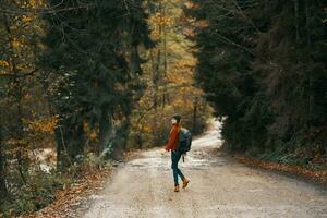 mujer viajes en otoño bosque en el la carretera paisaje alto arboles mochila modelo foto