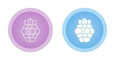 Raspberry Vector Icon