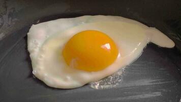 frango ovo é frito dentro uma frigideira. video