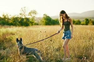 Woman walking her husky dog and smiling happily with teeth on a nature walk on the grass in the autumn sunset, lifestyle dog friend photo