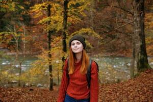 mujer turista en un suéter sombrero con un mochila cerca alto arboles en otoño en el bosque foto