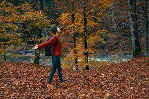 fallen leaves in the park in autumn and the river in the background woman tourist with a backpack travel photo