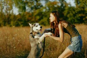 un esbelto mujer obras de teatro y bailes con un fornido raza perro en naturaleza en otoño en un campo de césped y sonrisas a un bueno noche en el ajuste Dom foto