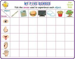 Logic educational science printable worksheet for smart kids to analyze which of the five senses could be used in recognizing the objects in the pictures and tick the appropriate senses vector