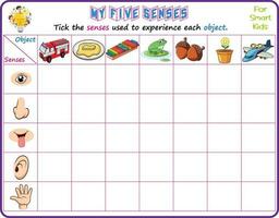 Logic educational science printable worksheet for smart kids to analyze which of the five senses could be used in recognizing the objects in the pictures and tick the appropriate senses vector