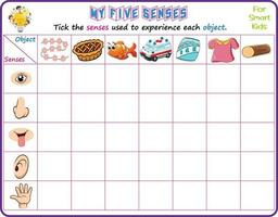 Logic educational science printable worksheet for smart kids to analyze which of the five senses could be used in recognizing the objects in the pictures and tick the appropriate senses vector