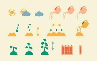 Step-by-step instructions for planting plant and flower seeds. Vector icons of planting and seed growth process, watering rate, temperature and planting calendar. Seedling growth process.