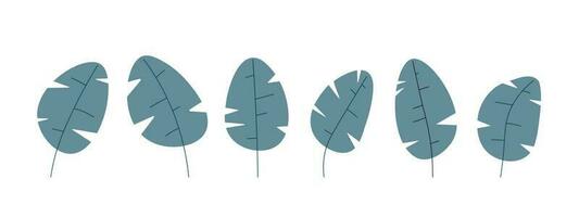 conjunto de tallado hojas de decorativo dibujos animados planta. redondeado hoja con recortes en el lados vector aislado en blanco antecedentes para diseño.