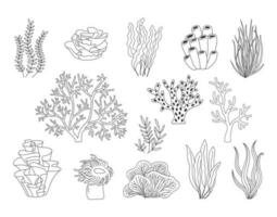 Trendy coral reef vector collection. Underwater ocean plants line icon set. Aquarium algae, laminaria, kelp water life isolated on white background.