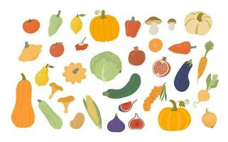 conjunto de dibujos animados orgánico granja vegetales y frutas en blanco antecedentes. otoño cosecha de calabaza, calabacín, limón, pera, granate, higos, baya, pimienta, hongos. plano vector ilustración