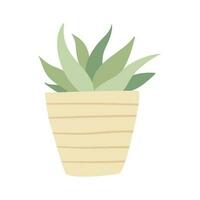 Decorative home plant in pot cartoon vector illustration. Cozy houseplant isolated on white background