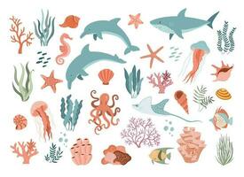 Set with hand drawn sea animals and plants illustration.  Fish, jellyfish, dolphins, shark, shells, seaweed and corals.  Beautiful underwater world in cartoon style. Diving center vector