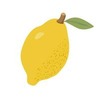 Lemon flat vector illustration. Citrus isolated on white background