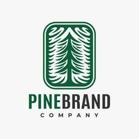 Illustrative pine tree logo design branding. Square spruce cedar plant logo. vector