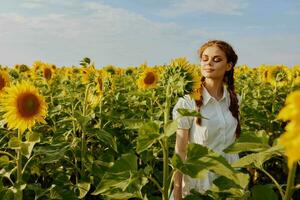 woman with two pigtails looking in the sunflower field flowering plants photo