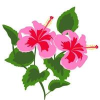 Illustration of tropical hibiscus rosa-sinensis flower. Floral pink hibiscus design set hand drawn. Perfect for card, postcard, tags, invitation, printing, wrapping, wedding. Design element. vector