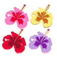 Colorful of hibiscus rosa-sinensis flower vector on white background. Flora and isolated botany plant with petals.