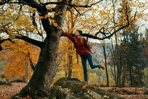 happy traveler climbed a tall stone near a tree and gestures with her hands fun emotions park photo