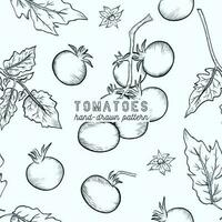 Tomatoes seamless pattern. hand drawn sketch illustration. vector