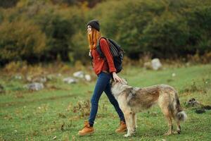 woman hiker with a backpack in nature with a dog photo