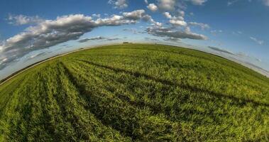 green little planet transformation with curvature of space among fields in evening day and beautiful clouds at sunset video