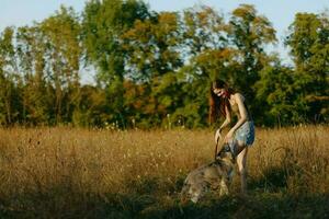 A woman plays and dances with a husky breed dog in nature in autumn on a grass field, training and training a young dog photo