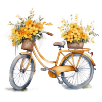 Cute watercolor bicycle with flowers. Illustration png