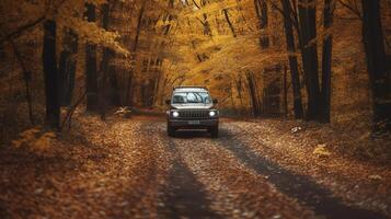 Car in autumn forest. Illustration photo