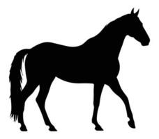 minimalista caballo silueta vector