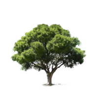 verde árbol aislado. ilustración ai generativo png