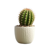 cactus aislado. ilustración ai generativo png
