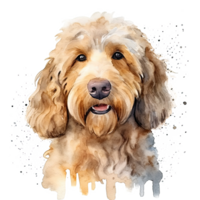 mignonne aquarelle goldendoodle chien. illustration ai génératif png