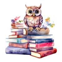 Watercolor books wuth owl. Illustration png