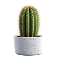 cactus isolato. illustrazione ai generativo png