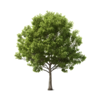 verde árbol aislado. ilustración ai generativo png