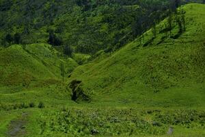 Scenic Green grass field view of rolling countryside green farm fields photo