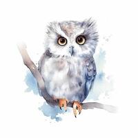 Cute watercolor owl. Illustration photo