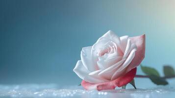 Rosa flor antecedentes. ilustración ai generativo foto