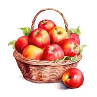 Watercolor apples in basket. Illustration photo