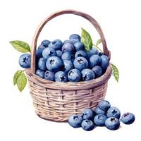 Watercolor blueberries in basket. Illustration photo