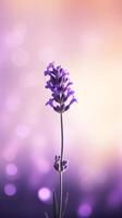 Lavender flower background. Illustration AI Generative photo