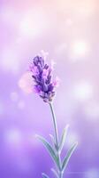 lavanda flor antecedentes. ilustración ai generativo foto