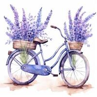 Cute watercolor bicycle with flowers. Illustration photo